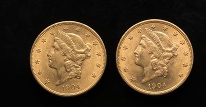 null 
[VENDU SUR PHOTO ET DESIGNATION] Deux pièces de 20 Dollars US 1904 et 1904



Poids...