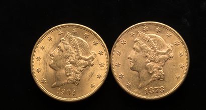 null 
[VENDU SUR PHOTO ET DESIGNATION] Deux pièces de 20 Dollars US 1878 et 1904



Poids...