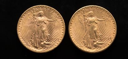 null 
[VENDU SUR PHOTO ET DESIGNATION] Deux pièces de 20 Dollars US 1923 et 1924



Poids...