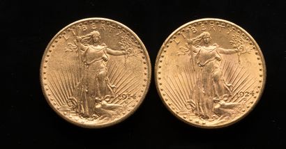 null 
[VENDU SUR PHOTO ET DESIGNATION] Deux pièces de 20 Dollars US 1914 et 1924



Poids...