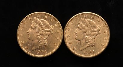 null 
[VENDU SUR PHOTO ET DESIGNATION] Deux pièces de 20 Dollars US 1891 et 1904



Poids...
