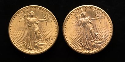 null 
[VENDU SUR PHOTO ET DESIGNATION] Deux pièces de 20 Dollars US 1924 et 1927



Poids...