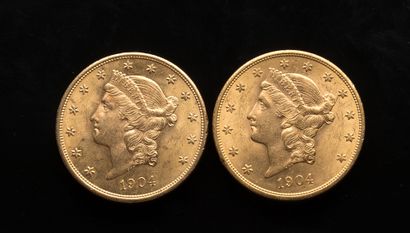 null 
[VENDU SUR PHOTO ET DESIGNATION] Deux pièces de 20 Dollars US 1904 et 1904



Poids...