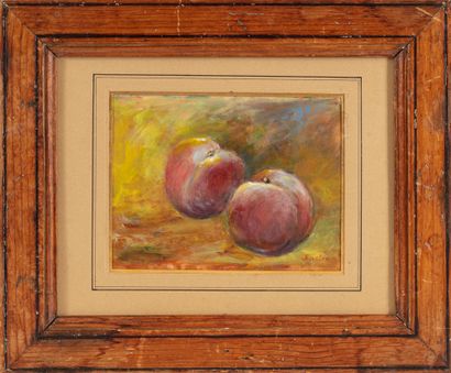 null 20th century FRENCH school
Still life with peaches
Oil on paper
Illegible signature...
