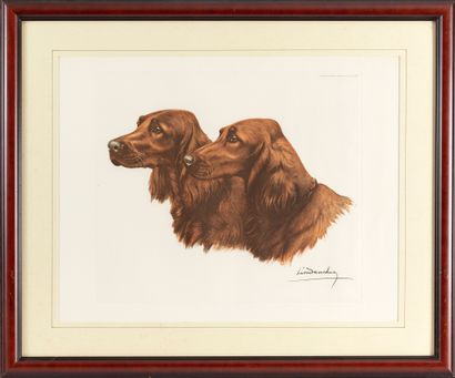 null After Léon DANCHIN (1887-1938)
Two Irish Setters
Lithograph
Signed in the plate
68...