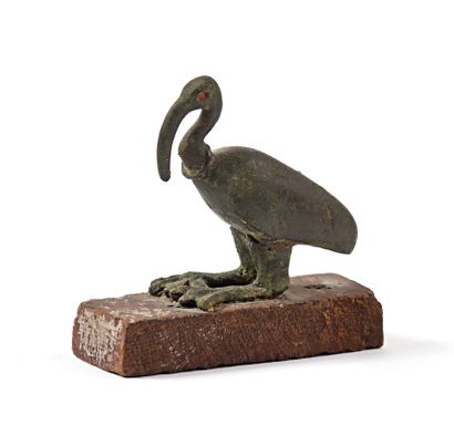 null Statuette d’Ibis en bronze sur un socle en bois
Egypte, Basse Epoque (663-332...