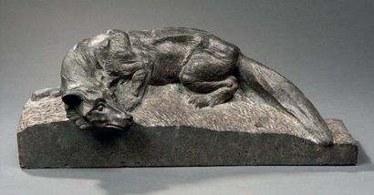 EMMANUEL OTTO HAHN (1881-1957) Loup gris du Canada Sculpture en taille directe sur...
