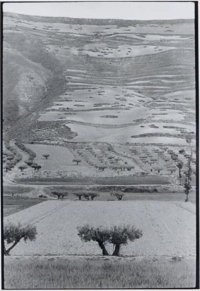 Henri Cartier-Bresson Castille, Espagne, 1953 Tirage argentique, vers 1970 Tampon...