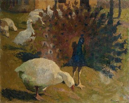 Marcel COUCHAUX (1877-1939) Le paon Huile sur toile. Signée en bas à droite 79,1...