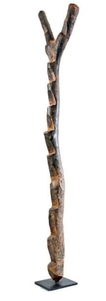 null Mali-ethnie dogon Échelle de case Sculpture en bois mouluré patiné H. 244 cm...
