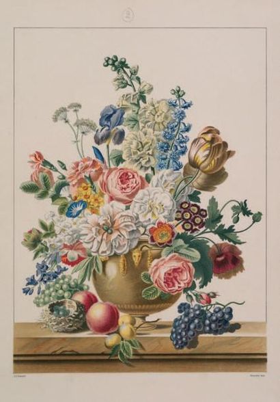 [Flore] A. Chazal Flore pittoresque, ou recueil de fleurs et de fruits peints d'après...