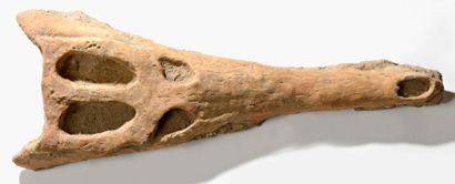 null Crane de crocodile préhistorique Maroc L: 64 cm Bon état, une partie des dents...