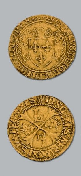 null LOUIS XII (1498-1514)
Écu d'or au porc-épic. Bayonne. D. 655. TB à TTB