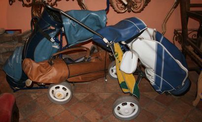 null Un sac de golf et deux caddies (sans clubs)