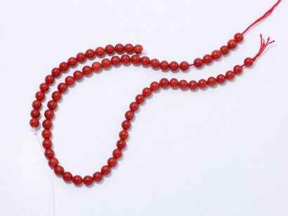 null Lot en corail de belle couleur composé d'un rang de perles d'environ 5.4 mm.
Poids...