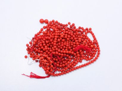 null Lot en corail de belle couleur composé de petites perles.
Poids sur fil: 464.50...