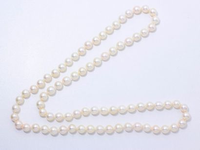 null Collier composé d'un rang de 76 perles de culture d'environ 8.4 à 8.7 mm.
Poids...