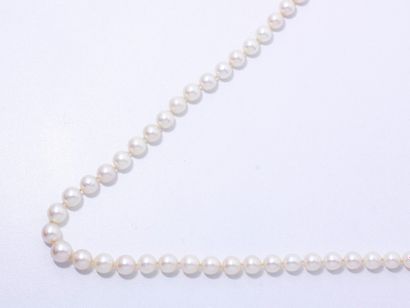 null Collier composé d'une chute de perles de culture d'environ 6.9 à 10.2 mm, agrémenté...