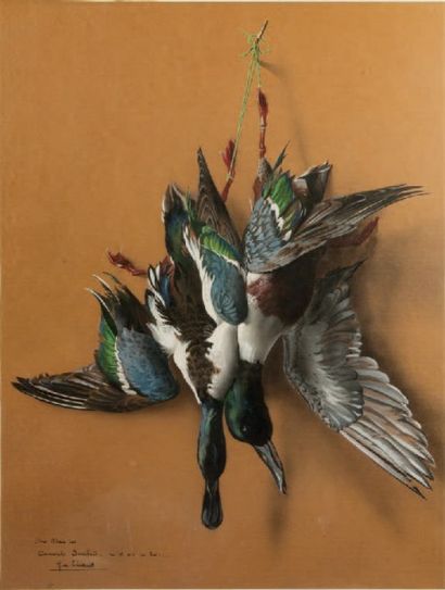 HENRI DE LINARES (1904 - 1987) 
Canards souchets
Aquarelle sur papier.
Signé et envoyé...