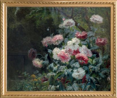 Paul BIVA (1851-1900) 
Fleurs de pavo
Huile sur toile signé en bas à gauche.
131...