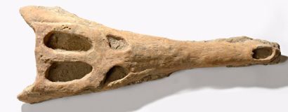 null Crane de crocodile préhistorique

Maroc

Bon état, une partie des dents est...