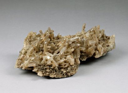 null Curieux cristal de roche d’Auvergne
L. 1,25 cm