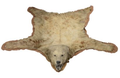 null Ours grizzli (II/A-CE) pré-convention : Ursus arctos horribilis

Manufacture...