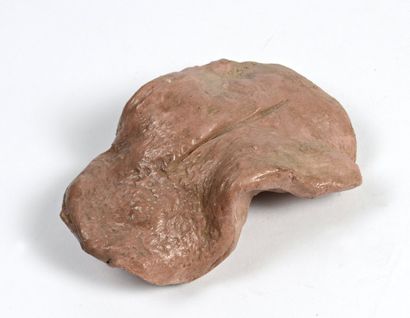 null Moulage de langue en plâtre peinte au naturel
L. 12 cm