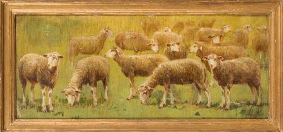 Édouard PAÏL (1851-1916) 
Les moutons
Huile sur toile contrecollée sur carton.
Signé...