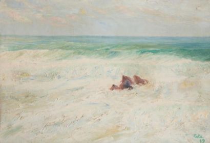 Siebe Johannes TEN CATE (1858-1908) * La mer près de la côte - 1889
Huile sur toile.
Signé...