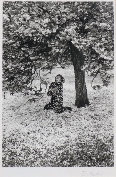 EDOUARD BOUBAT (1923 - 1999) 
Cerisier japonais - Parc de Sceau, 1983
Tirage argentique...