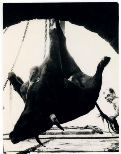 Lucien CLERGUE (1934-2015) 
La mort du taureau - Arles, vers 1960
Tirage argentique...