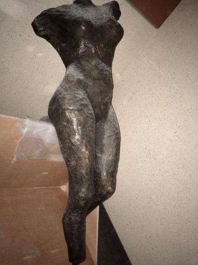 Catherine GRENOT (XXème siècle) Nu 

Suite de cinq sculptures en résine patiné bronze....