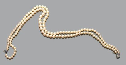 null Collier
Composé de 2 rangs de perles de culture en chute d'environ 5.8 à 9.5...