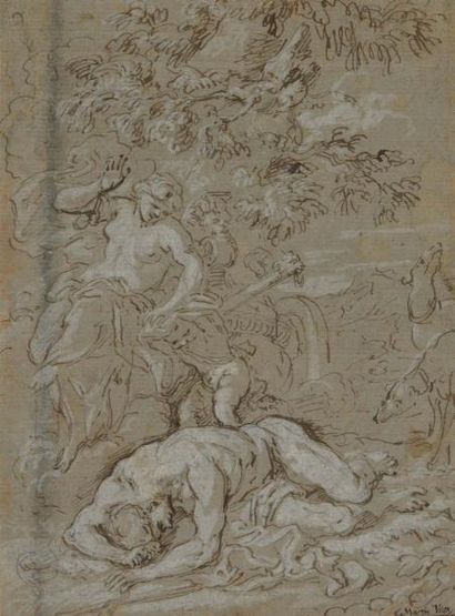 Daniel SEITER (1647-1705) Vénus pleurant la mort d' Adonis
Plume et encre brune,...