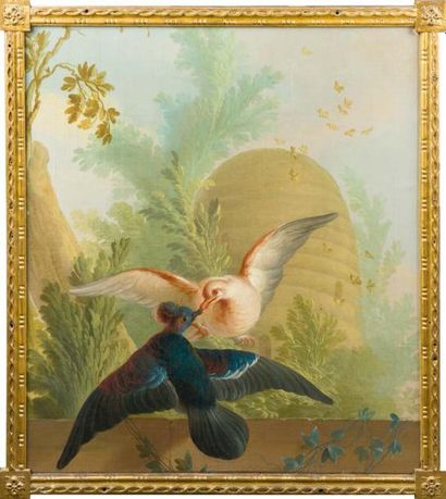 Attribué à Hendrick Willem SCHWEICKARDT (1746-1797) Pigeons Goura de Scheepmaker...