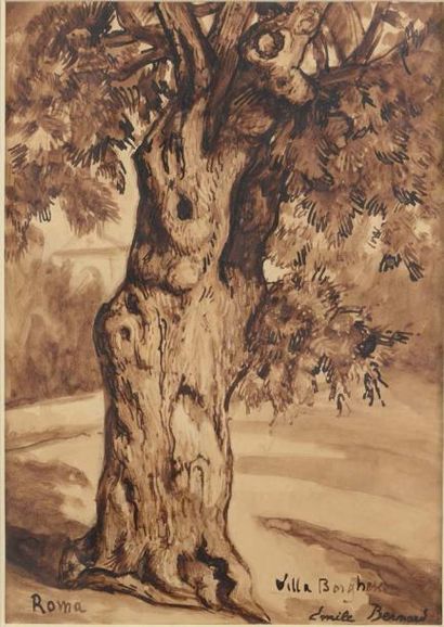 Emile BERNARD (1868-1941) Tronc d'arbre, Villa Borghese, Rome, 1922.
Lavis d'encre...