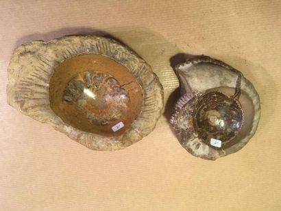 null 1) 2 cendriers creusés dans des ammonites de Madagascar