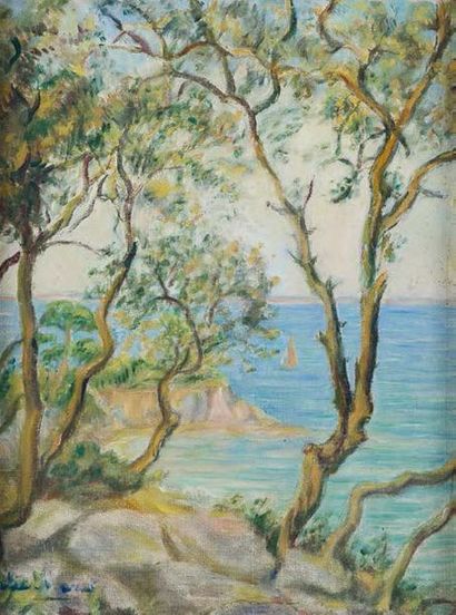 Julie MANET (1879-1967) Paysage méditerranéen
Huile sur toile.
Signé en bas à gauche
41x33...