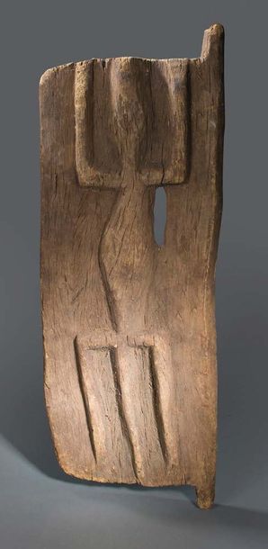 Peuple DOGON - Mali Volet de case en bois patiné et sculpté d'un crocodile en relief.
Bois...