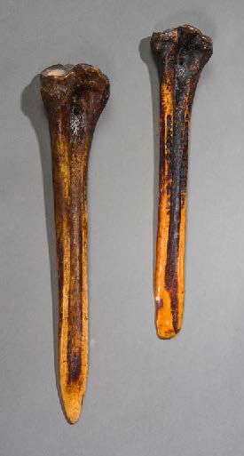 Papouasie Nouvelle-Guinée 
Lot de deux outils en os. Superbe patine brune d'usage...
