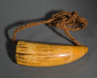 ÎLES FIDJI 
Pendentif «Tambua» constitué d'une dent de cachalot montée sur fibre.
Décor...