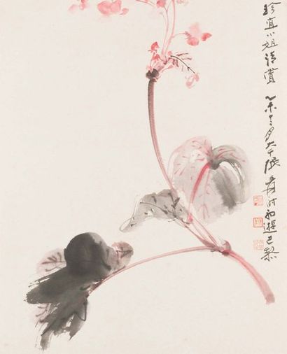 Zhang Yuan, DA QIAN JU SHI (1899 - 1983). Branche de Bégonia
Aquarelle sur papier
L'oeuvre...