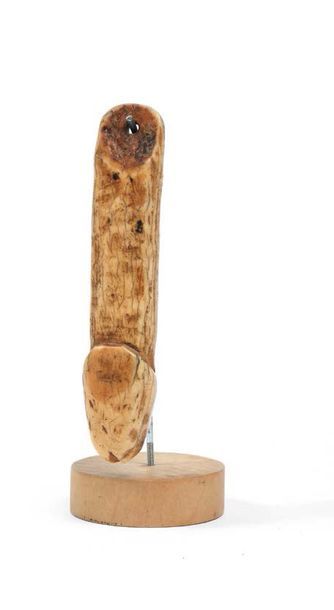 null Peuple LEGA - RDC Sculpture phallique en dent d'hippopotame sculpté
H: 10 c...