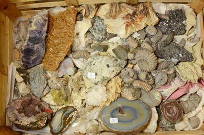 null Lot avec des ammonites de Bully (France), gypse d'Australie, agates, géode de...