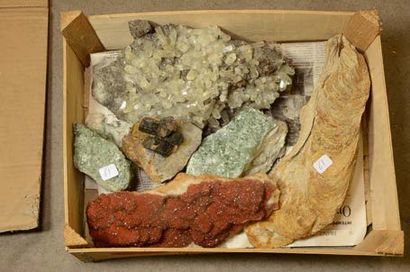 null Lot avec quartz hématoïde du Maroc, huitre fossile, tourmaline sur gangue, calcite...
