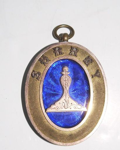 Oval medallion in gilt bronze, blue background...