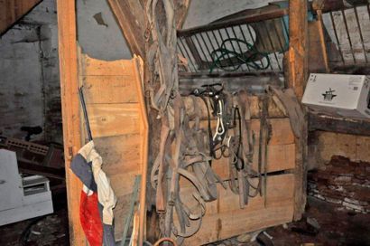 null Horse harness lot