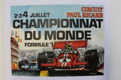 F1, Paul Ricard, Drink. Canvas poster. 48x36...