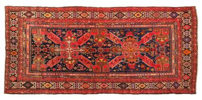 null 
Important tapis SEÏKHOUR (Caucase), fin du 19e siècle, début 20e




Dimensions...